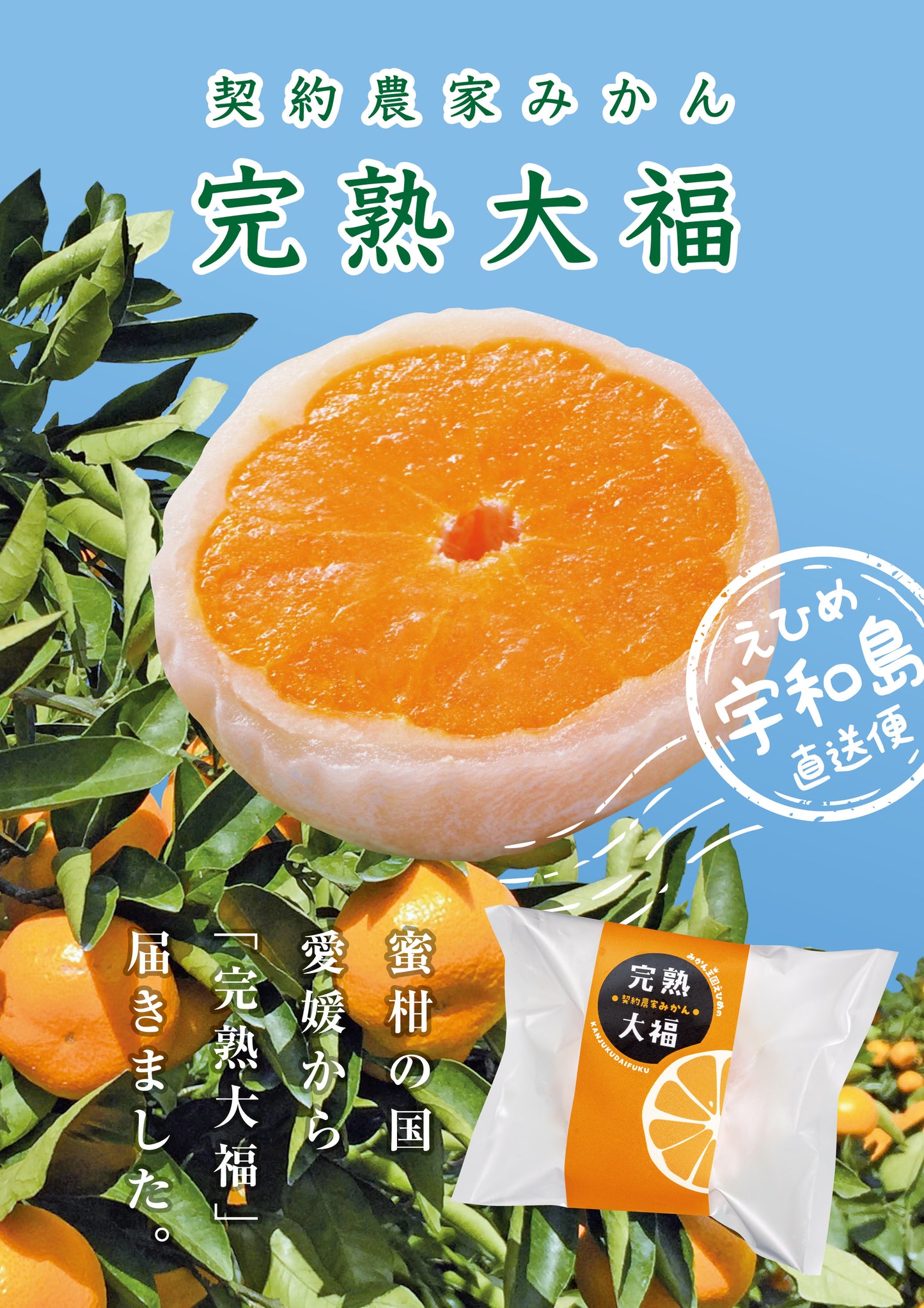 契約農家みかん完熟大福【10個】
