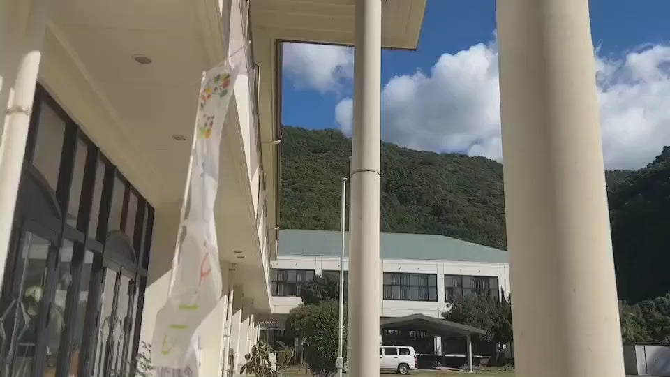 動画を読み込む: 